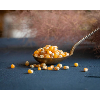Ekologiški kukurūzų spragėsiai (Popcorn)